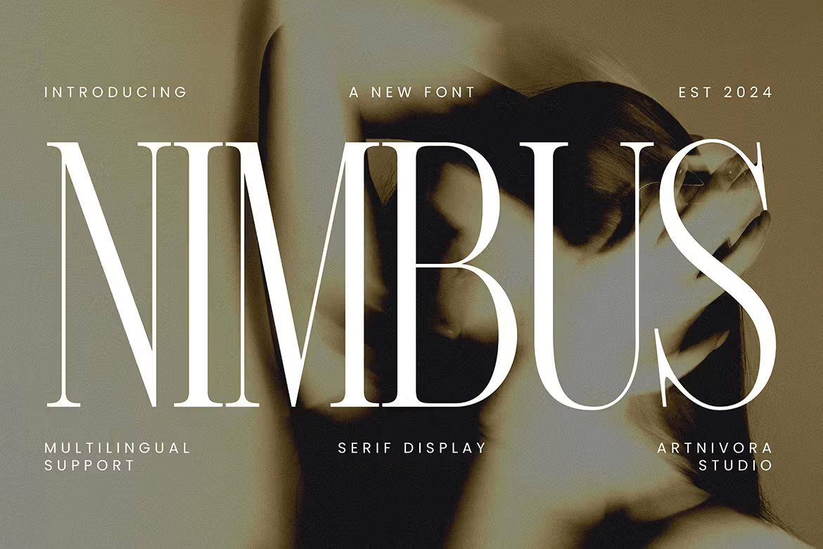 Nimbus - Serif Display Font by artnivora_std