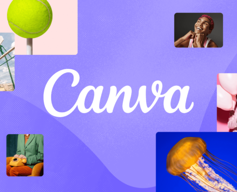 Envato Elements x Canva: Joining Forces to Empower Creatives