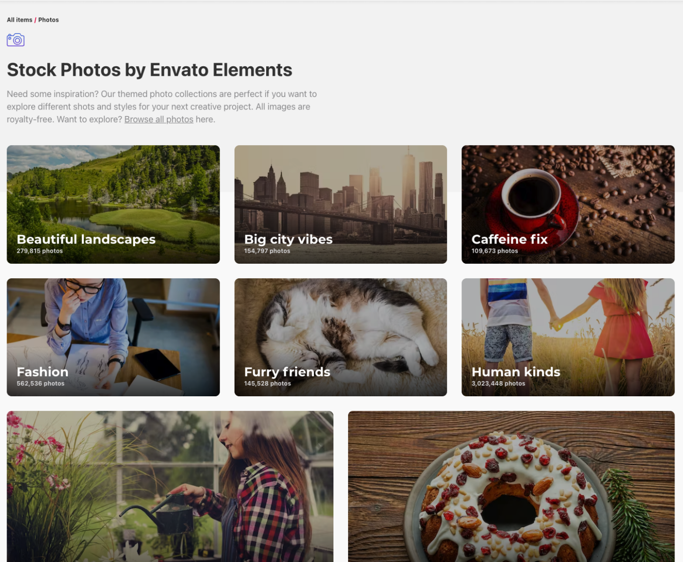 Screenshot of one of the newest features on Elements: Curated collections for stock photos