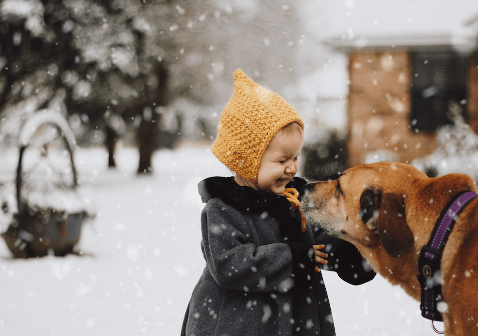 A child in a yellow hat smiling in the snow as a large dog reaches its head towards them.