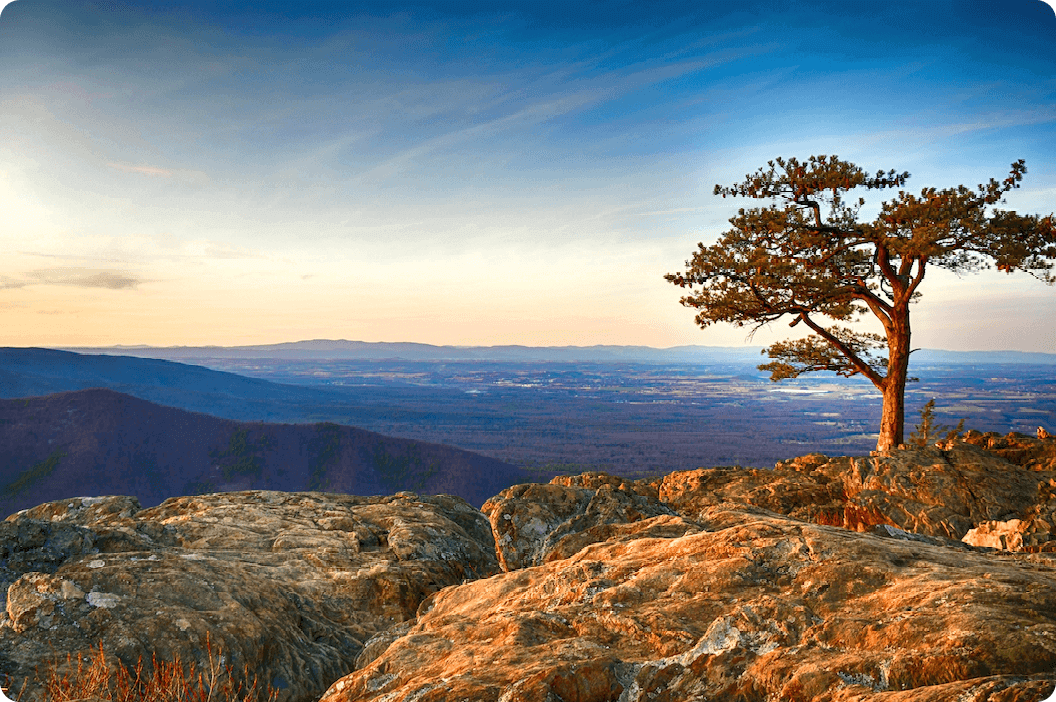 A beautiful lone tree on a rocky cliff overlooking the Shenandoah Valley of Virginia, where Marg Johnson lives and works as a photographer.