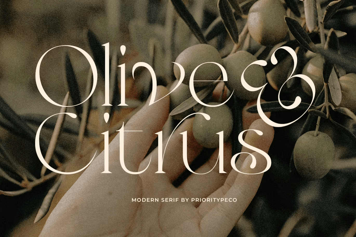 Olive & Citrus - Modern Serif by PrioritypeCo